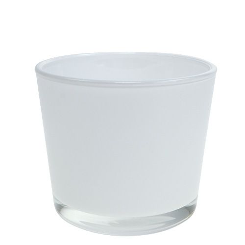 Floristik24 Glasurtepotte hvid Ø10cm H8,5cm