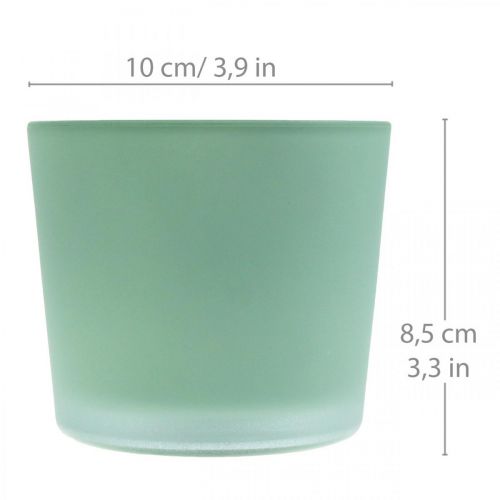 Floristik24 Glasurtepotte grøn plantekasse glasbalje Ø10cm H8,5cm