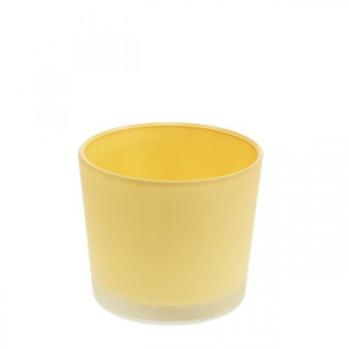 Floristik24 Glasurtepotte gul plantekasse glasbalje Ø10cm H8,5cm