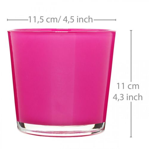 Floristik24 Glasbalje, plantekasse pink Ø11,5cm H11cm