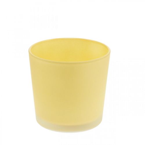 Floristik24 Glasurtepotte gul dekorativ glasbalje Ø11,5cm H11cm