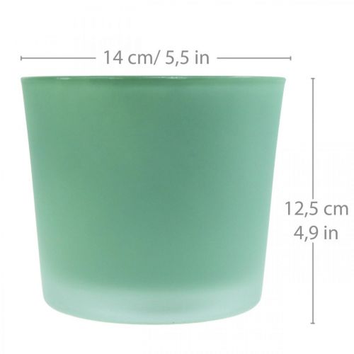 Artikel Glasurtepotte grøn plantekasse glasbalje Ø14,5cm H12,5cm