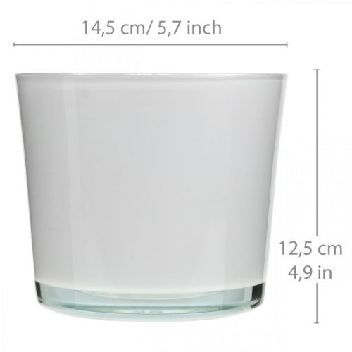 Artikel Glasurtepotte hvid plantekasse glasbalje Ø14,5cm H12,5cm