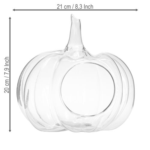 Artikel Glasgræskar med åbning, efterårsdekorationsgræskar, klar, Ø21 cm, H20 cm