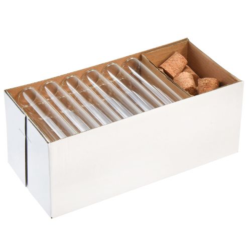 Floristik24 Minivaser glas dekorative glasrør med propper H11,5cm 24 stk