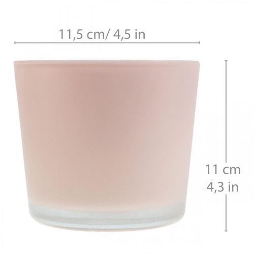 Artikel Urtepotte glas plantekasse pink glasbalje Ø11,5cm H11cm