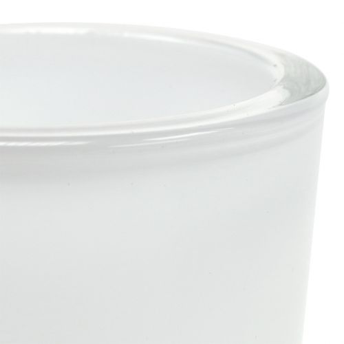 Floristik24 Glasgryde Ø7,8cm H8cm hvid