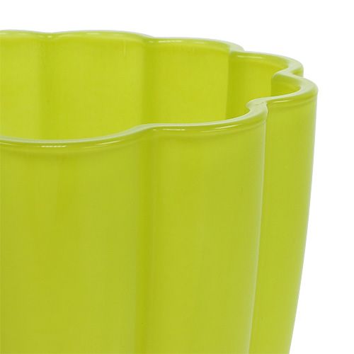 Floristik24 Glasvase "Bloom" kalk Ø14cm H17cm
