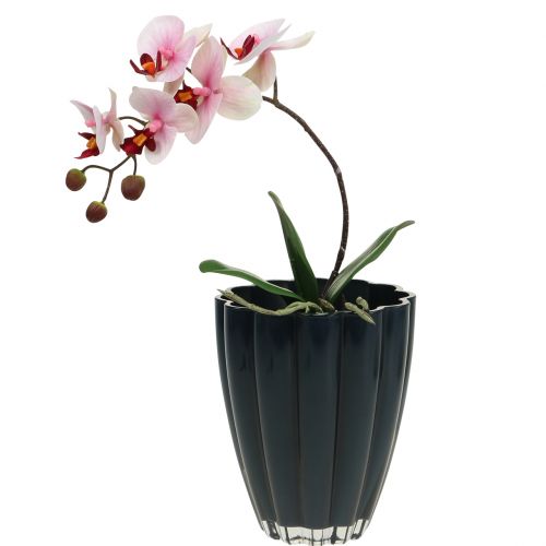Floristik24 Glasvase &quot;Bloom&quot; mørkeblå Ø14cm H17cm