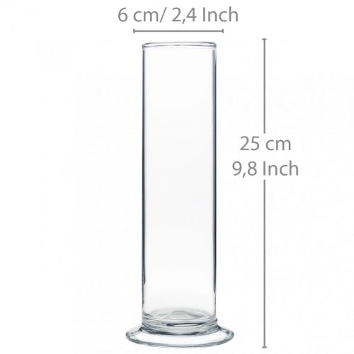 Floristik24 Glasvase med fod Klar Ø6cm H25cm