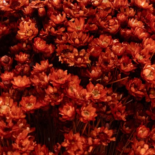 Artikel Tørrede blomsterbuketter, en charmerende tilføjelse til vaser eller arrangementer, 44 cm