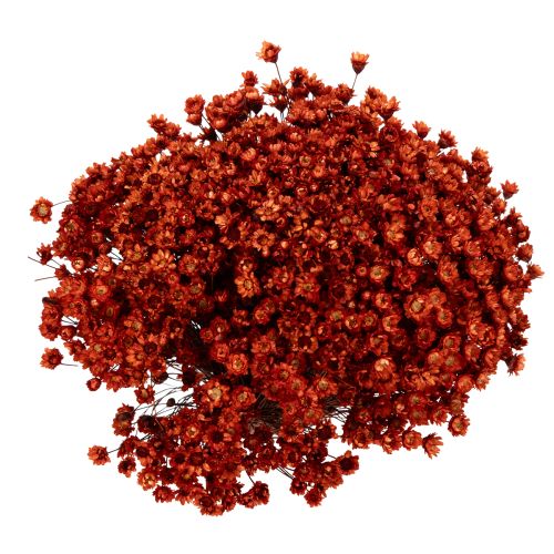 Artikel Tørrede blomsterbuketter, en charmerende tilføjelse til vaser eller arrangementer, 44 cm