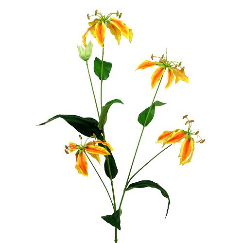 Floristik24 Gloriosa gren orange-gul 90cm 1p