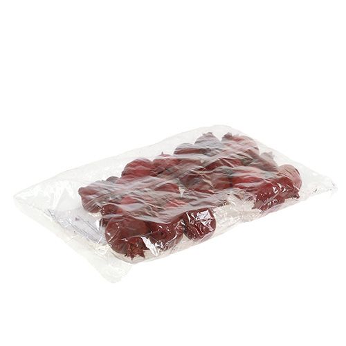 Floristik24 Granatæbler 250g