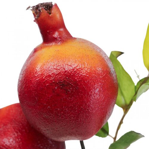 Floristik24 Dekorativ gren granatæble dekoration, dekorativ frugt, dekorativ granatæble 39cm