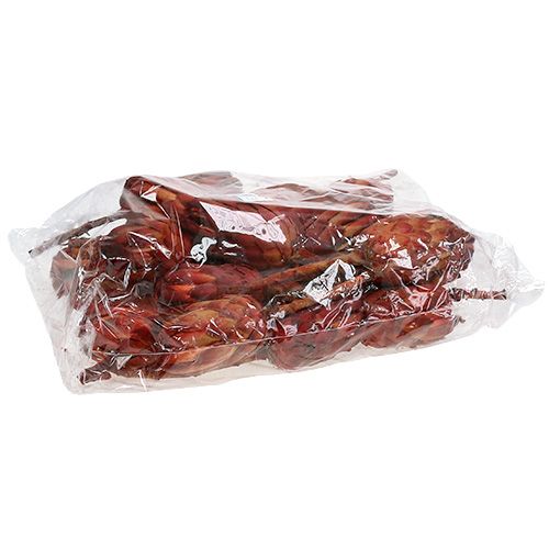 Artikel Grandiceps rød 25 stk