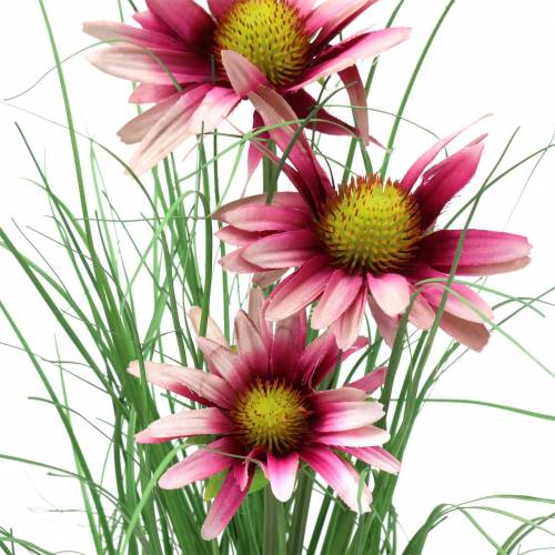 Floristik24 Græs med Echinacea kunstigt i gryden lyserød 44 cm