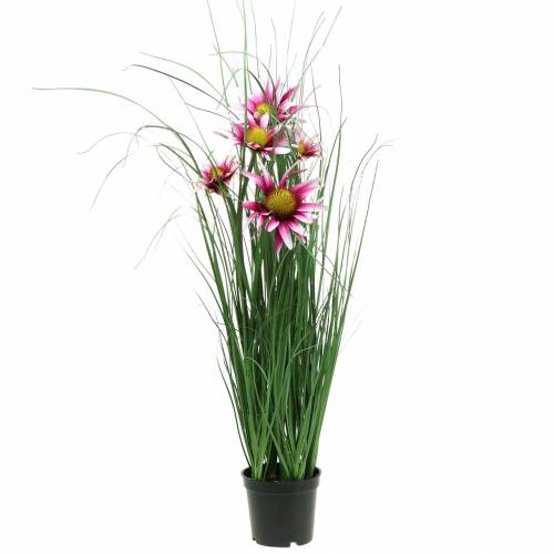 Floristik24 Græs med Echinacea kunstigt i en gryderosa 63 cm