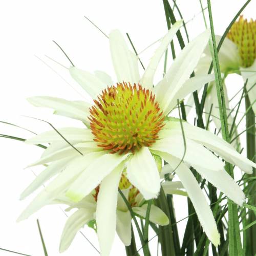 Floristik24 Græs med Echinacea kunstigt i gryden hvid 52 cm