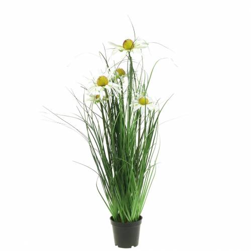 Floristik24 Græs med Echinacea kunstigt i gryden hvid 52 cm