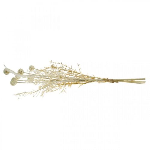 Artikel Tørt græs kunstigt pampasgræs allium creme, beige H60cm