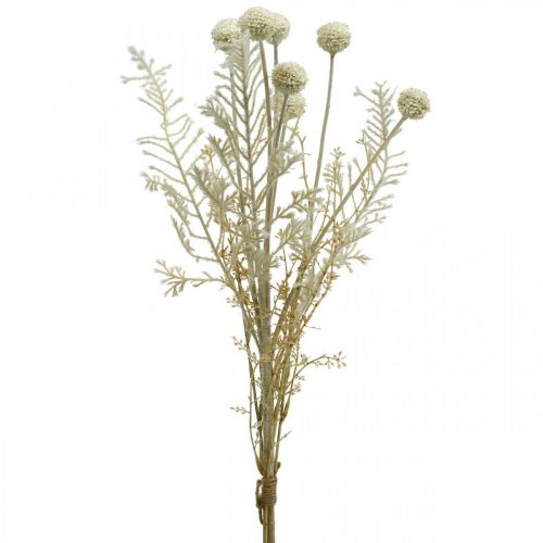 Floristik24 Tørt græs kunstigt pampasgræs allium creme, beige H60cm