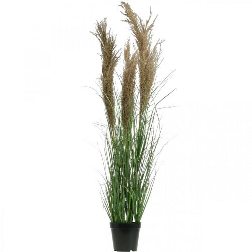 Artikel Kunstig siv i potte med tørre blomster grønne, brune 98cm