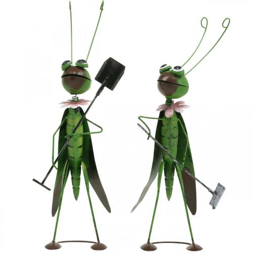 Artikel Græshoppe havefigur metal dekoration cricket med rive og spade H33 cm sæt med 2