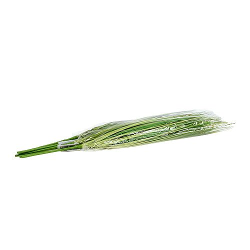 Floristik24 Græsgren med blomster 58 cm grøn 6stk