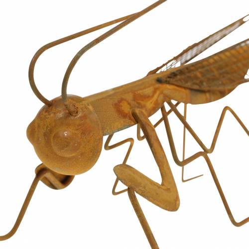 Floristik24 Havedekorationsgitter ædel rustmetal 14,5 cm
