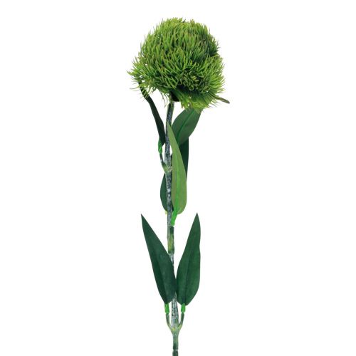 Floristik24 Grøn skægget nellike kunstig blomst som fra haven 54cm