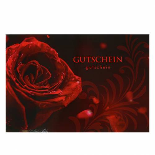 Floristik24 Kupon rose med kuvert 5stk