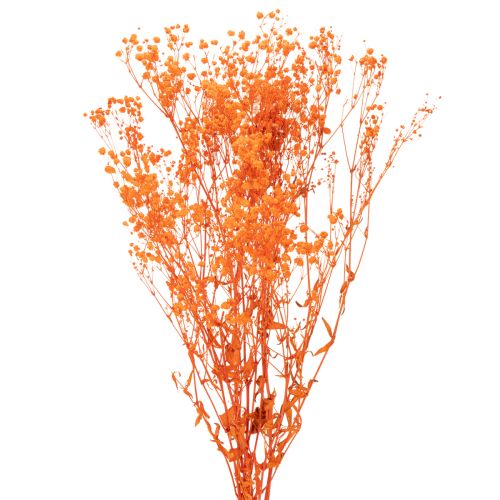 Tørrede blomsterbuket med babyånde Gypsophila 75 cm 100 g