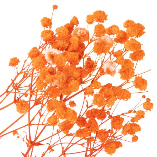 Tørrede blomsterbuket med babyånde Gypsophila 75 cm 100 g | Floristik24.dk