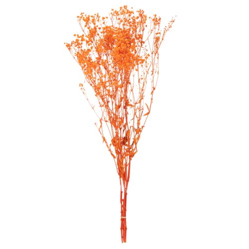 Tørrede blomsterbuket med babyånde Gypsophila 75 cm 100 g | Floristik24.dk