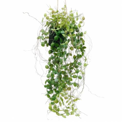 Floristik24 Hængende plante i potte Kunstig grøn plante Hængende kurv