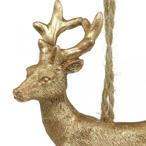 Floristik24 Julevedhæng rensdyr deco hjorte guld 9,5cm 4stk