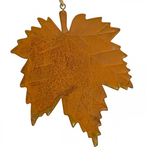 Floristik24 Efterårs dekorative blade metal rust look ahorn blade 6 stk