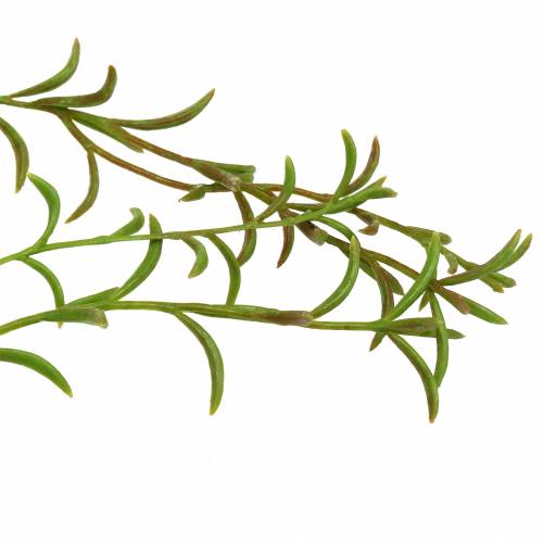 Floristik24 Koralkaktus kunstig Rhipsalis bøjle 90cm