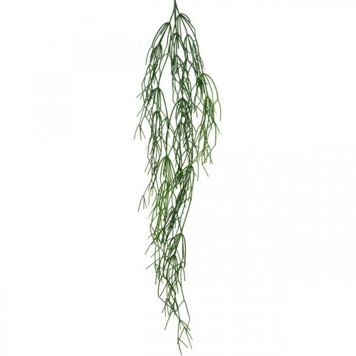 Floristik24 Dekorative ranker, koralkaktus, kunstig Rhipsalis bøjle Grøn L120cm