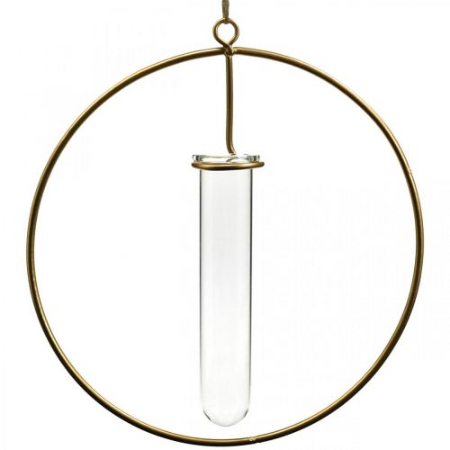Floristik24 Dekorativ ring til ophængning af reagensglas gyldent metal Ø16cm 4stk