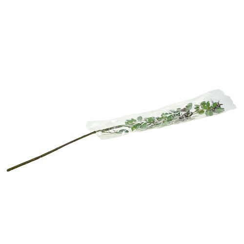 Floristik24 Hyben gren L92cm med sne