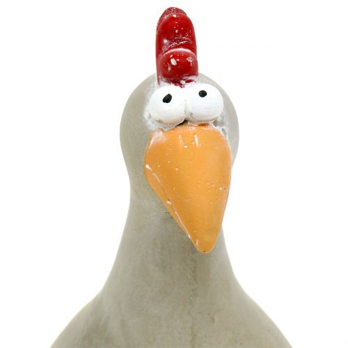 Floristik24 Dekorativ figur Hahn beton H20,5cm