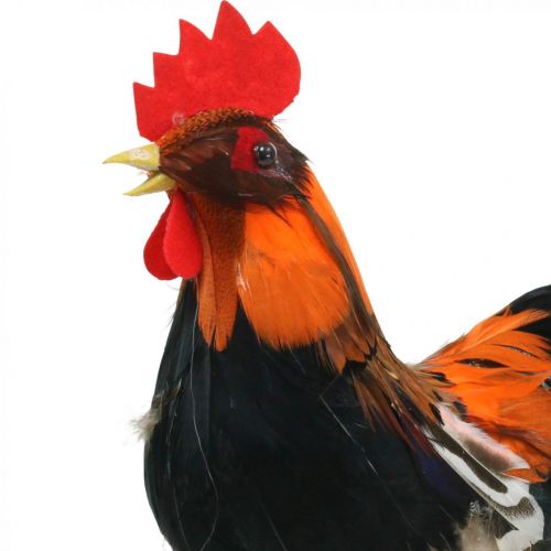 Dekorativ hane med fjer Orange dekorativ figur påskeforårsdekoration 24cm | Floristik24.dk