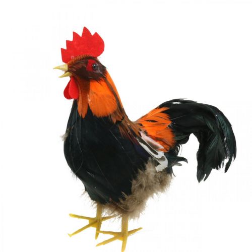 Dekorativ hane med fjer Orange dekorativ figur påskeforårsdekoration 24cm | Floristik24.dk