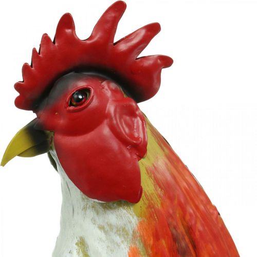 Floristik24 Dekorativ hane metal farverig havedekoration figur metal dekoration 58×13×50cm