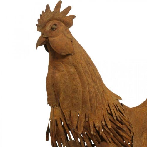 Floristik24 Hane rusten havedekoration patina dekoration figur metal 58×13×50cm