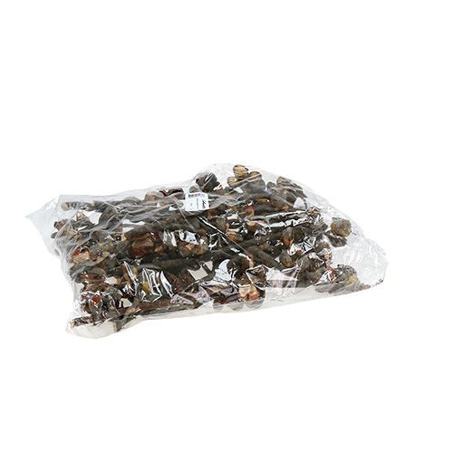 Artikel Hakea medium naturel 5-9 hoveder pr. gren 20 stk