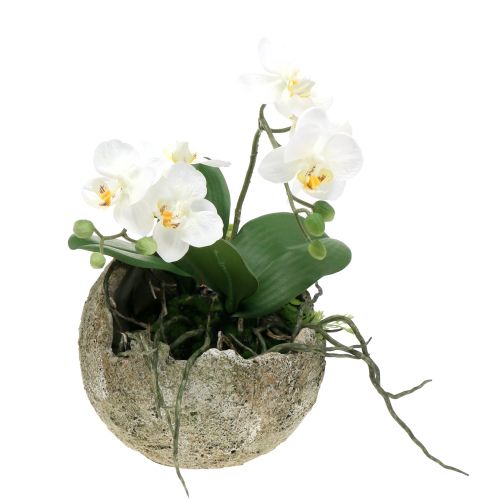 Floristik24 Betonkugle til udplantning af Ø15cm H13.5cm