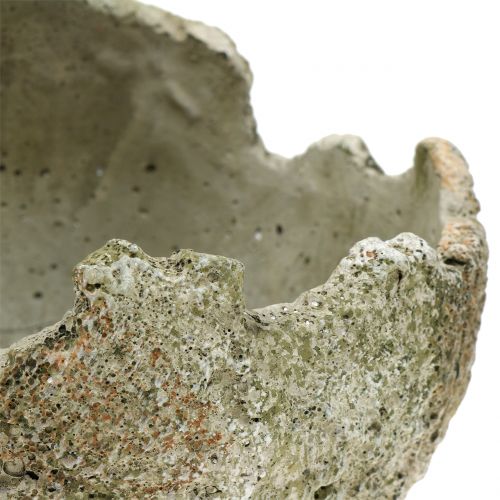 Floristik24 Betonkugle til plantning af Ø17cm H17.5cm